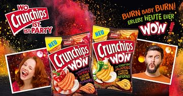 10x10 Packungen Crunchips
