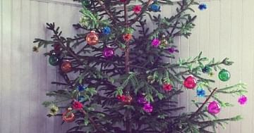 Weihnachtliche Komplettausstattung