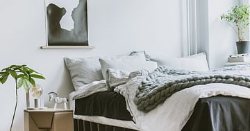 Kostenloses Pappbett von ROOM IN A BOX