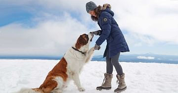20% Studentenrabatt auf das gesamte Sortiment von Eddie Bauer